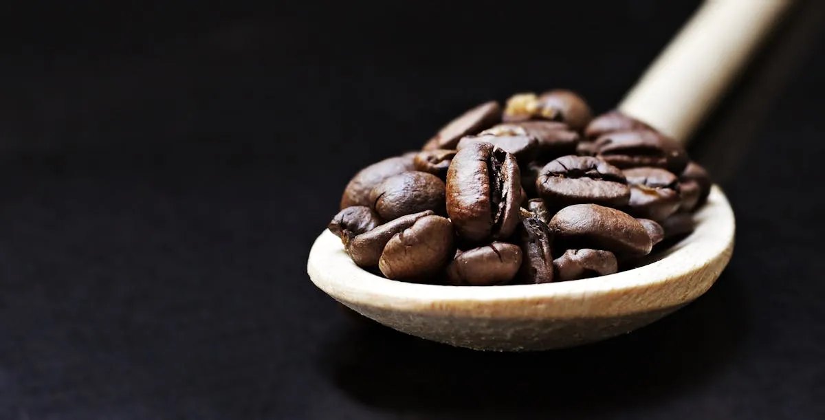 Luxury Coffee Roastery project photo 3 used in the NOIR & FÈVE design
