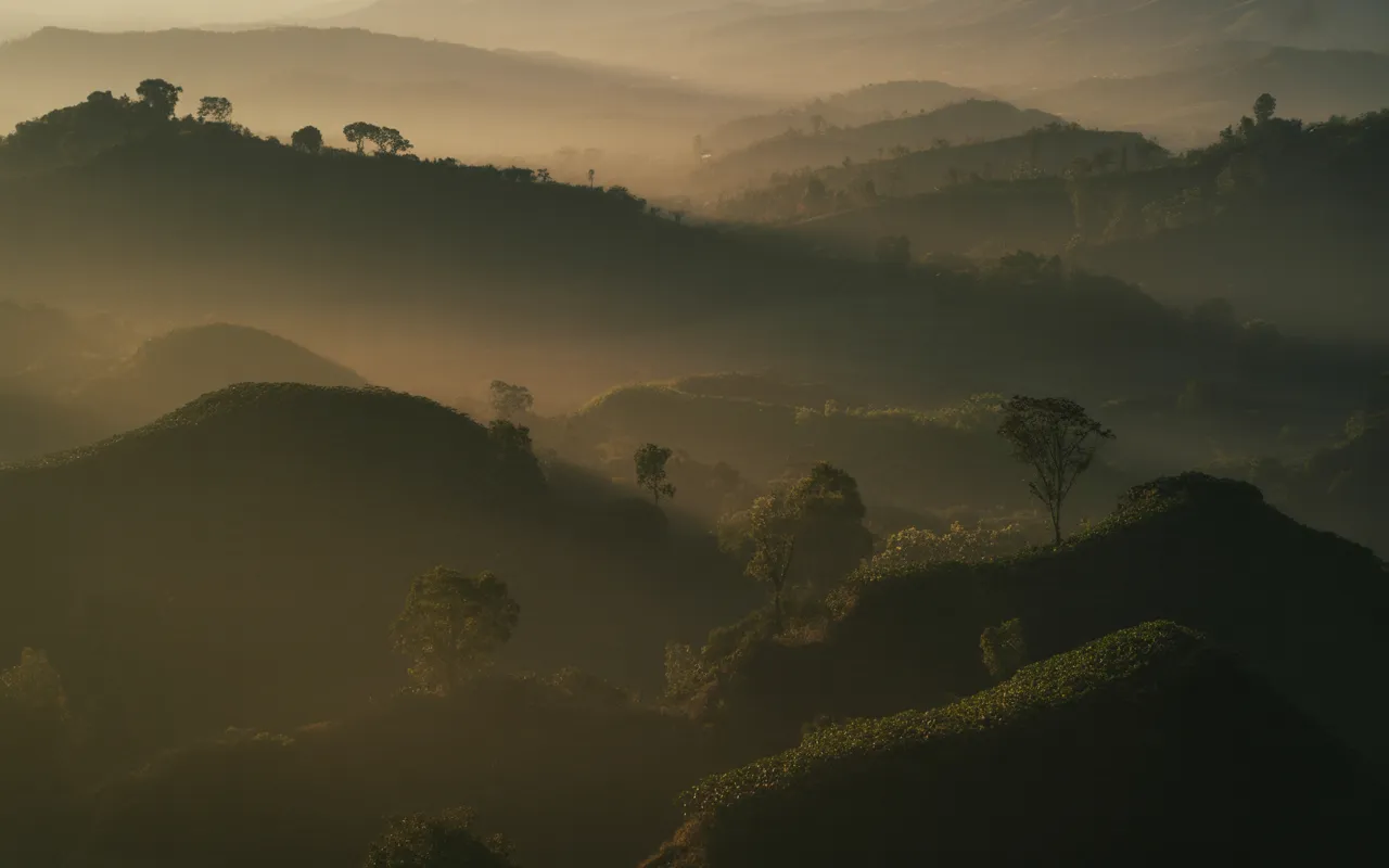 Coffee origins map